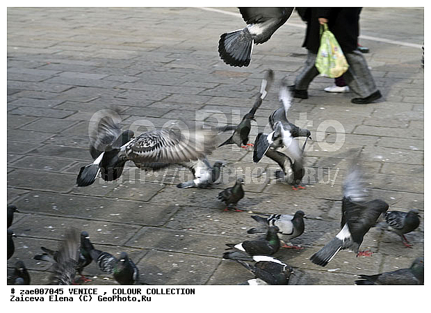 �������, ������