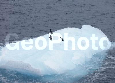 ����������, ����������, ��� �������� ������ �������, ����� ���������, ����