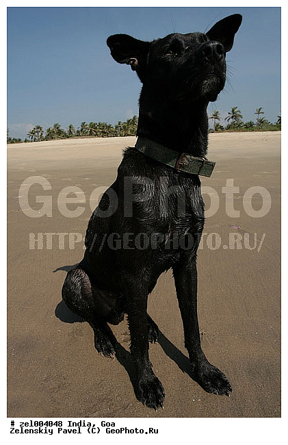 ���, �����, ������