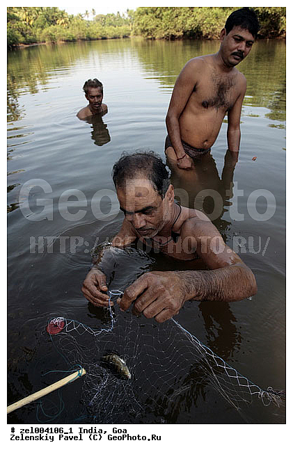 ���, �����, ����, ������, ����