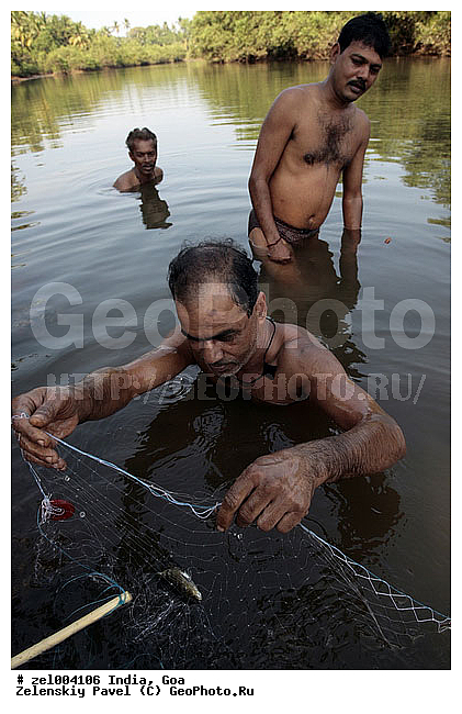 ���, �����, ����, ������, ����