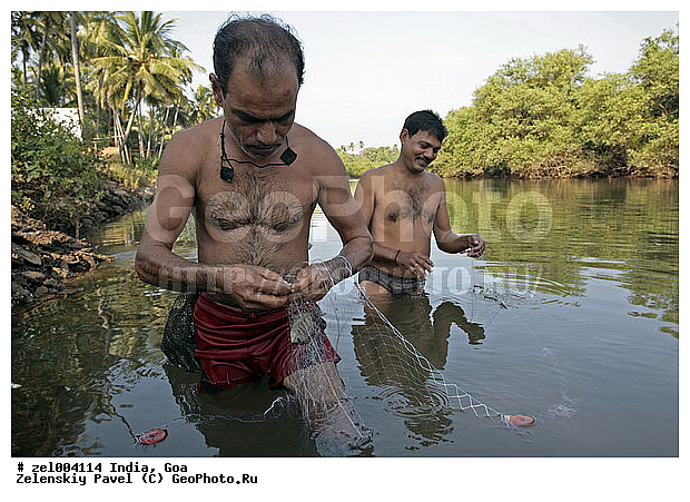 ���, �����, ����, ������, ����