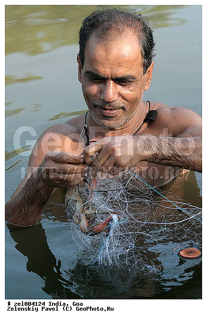 ���, �����, ����, �����, ����