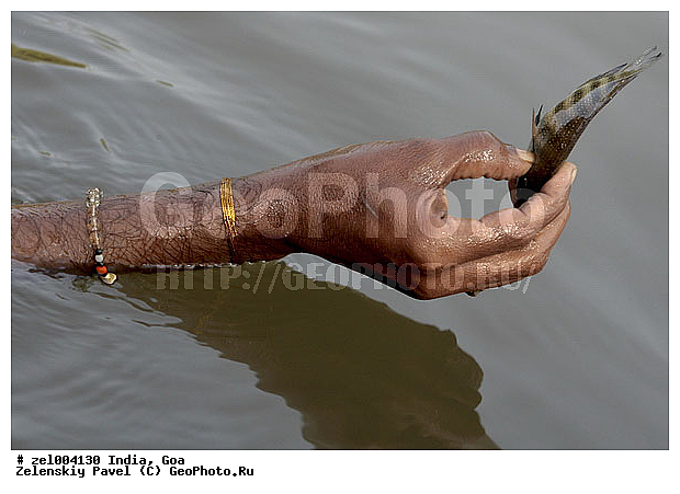 ���, �����, ����, �����