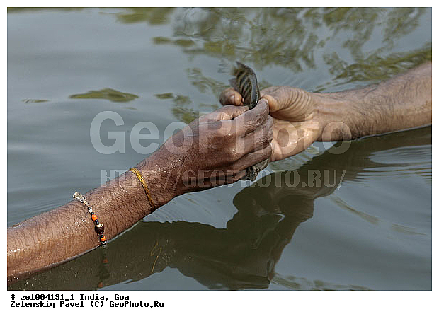 ���, �����, ����, �����