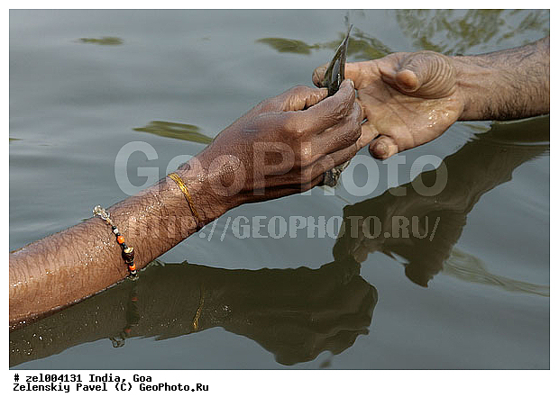 ���, �����, ����, �����