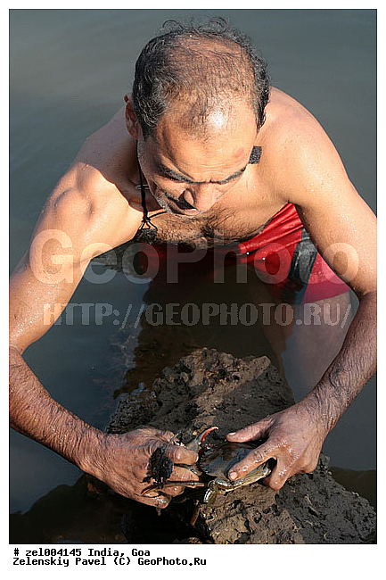 ���, �����, ����, �����, �������