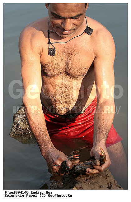 ���, �����, ����, �����, �������