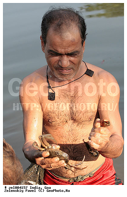 ���, �����, ����, �����, ����, �������