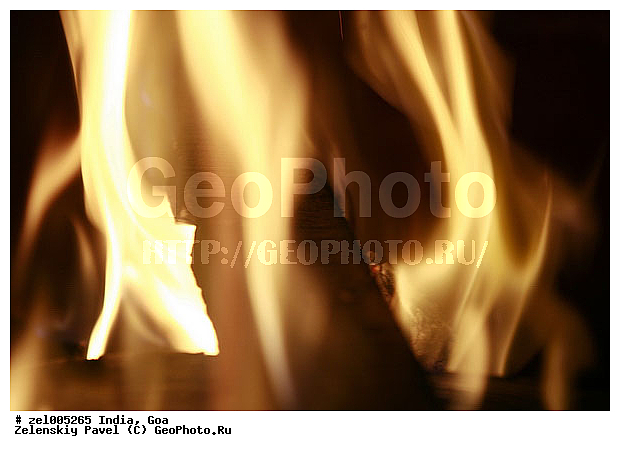 ���, �����, �����, �������