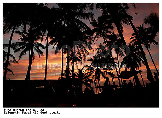 ���, �����, �����, ������