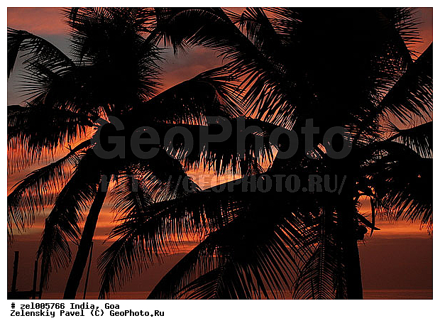 ���, �����, �����, ������