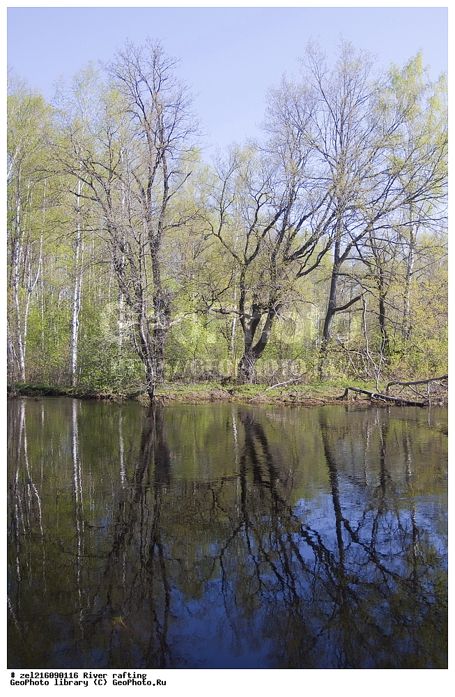 �����, ����, ������, �����, ������