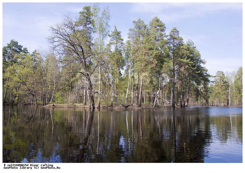 �����, ����, ������, �����, ������