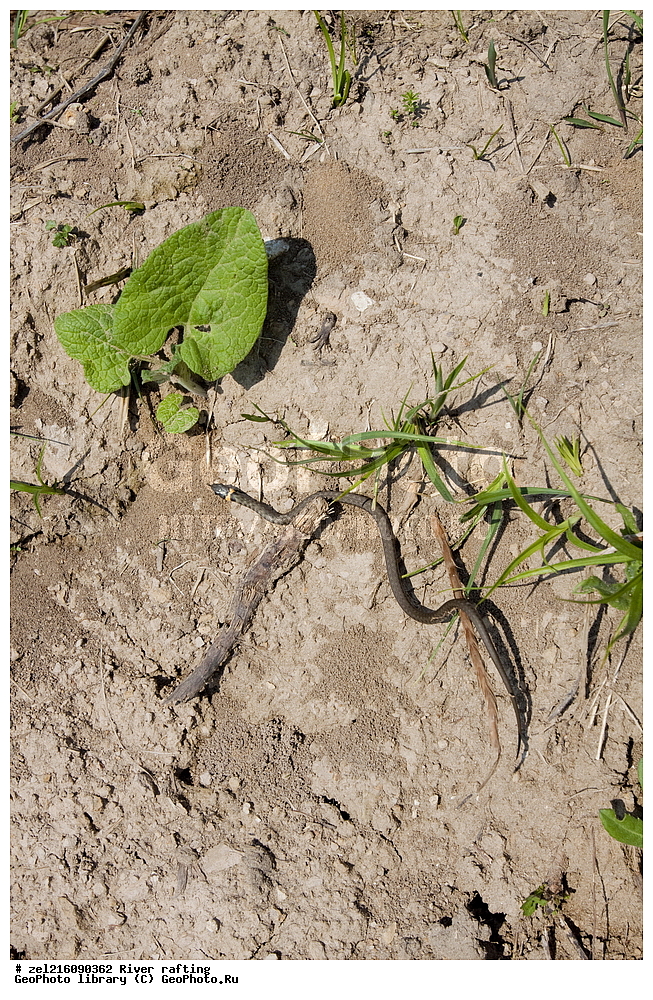 �����, ����, ������, �����, ������, ���