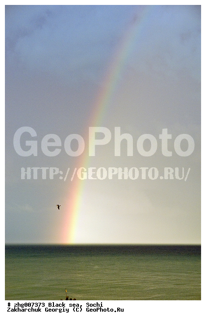 ������ ��� �����, ������ ����, ������