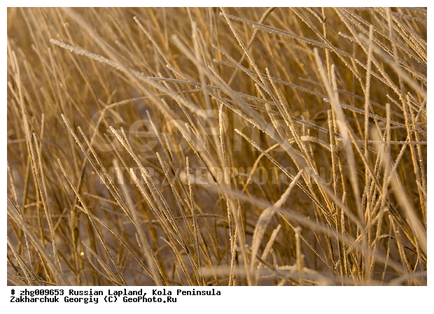 ���������, ����������� ����������, ������� ���������, ����, ����, ����, �����