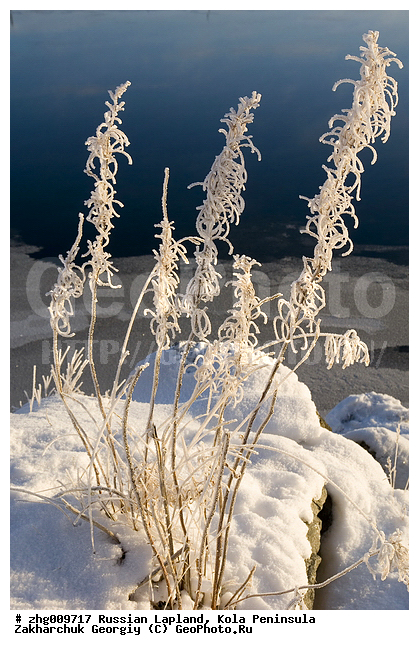 ���������, ������� ���������, ����, ����