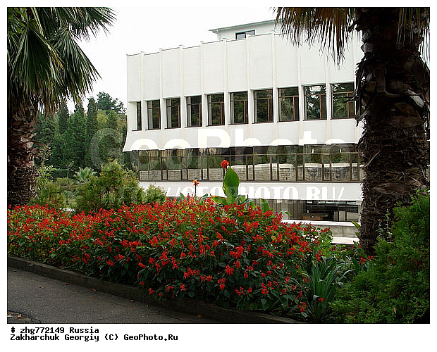 ��������, ���������, ������������� ����, ������, �����, ����, ��