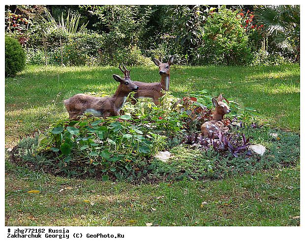 ��������, ���������, ������������� ����, ������, �����, ����, ��