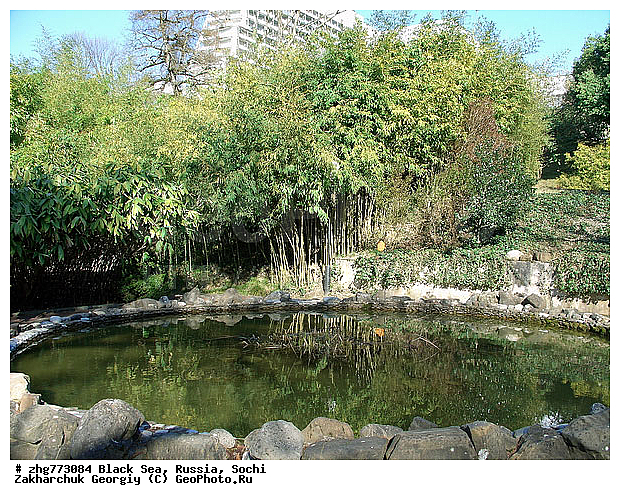 ����� ����, ������������� ����, ����, ������ ����, ����, ���������