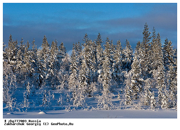 �������� ����������, ����������, ������, ����, ������, �������, ������