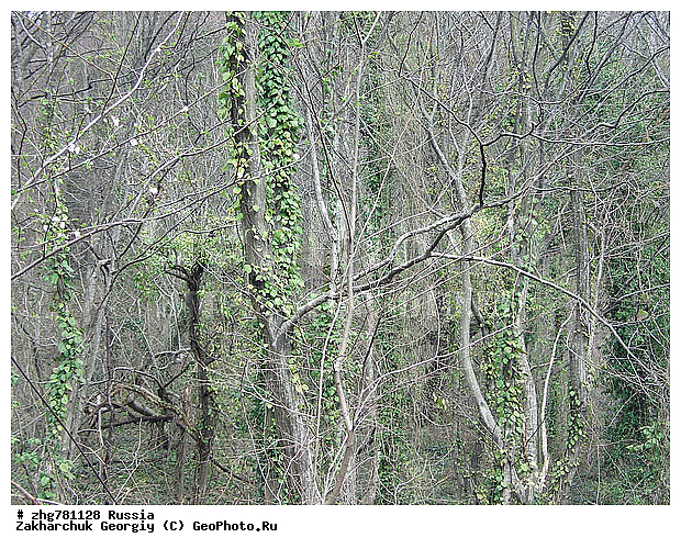 ���������, ������������� ����, ������, �����, �����, ��������, ����, ������, ��, zzz