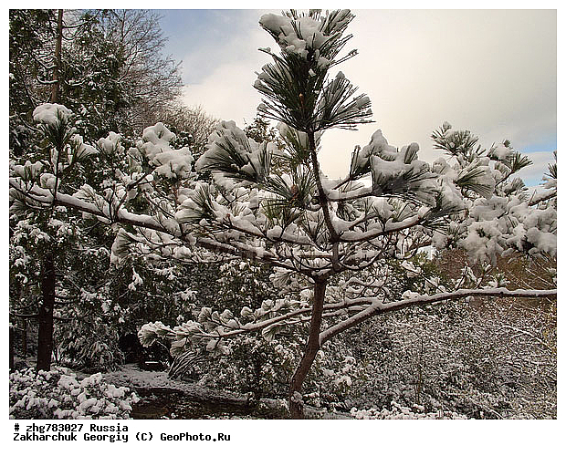 ������, ����, ������������� ����, ������, ������, ����, ��