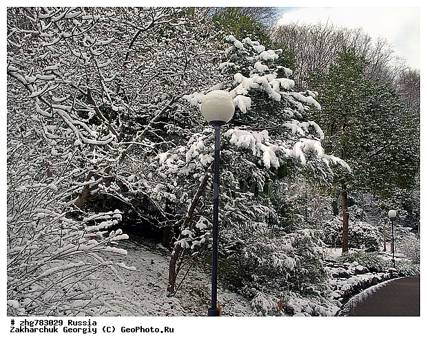 ������, ����, ������������� ����, ������, ������, ����, ��