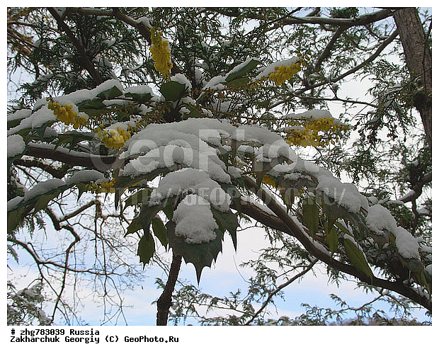 ������, ����, ������������� ����, ������, ������, ����, ��