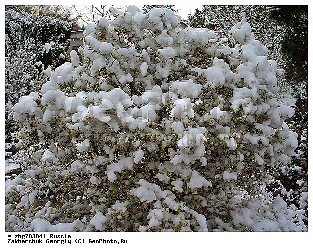 ������, ����, ������������� ����, ������, ������, ����, ��