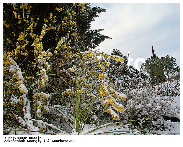 ������, ����, ������������� ����, ������, ������, ����, ��