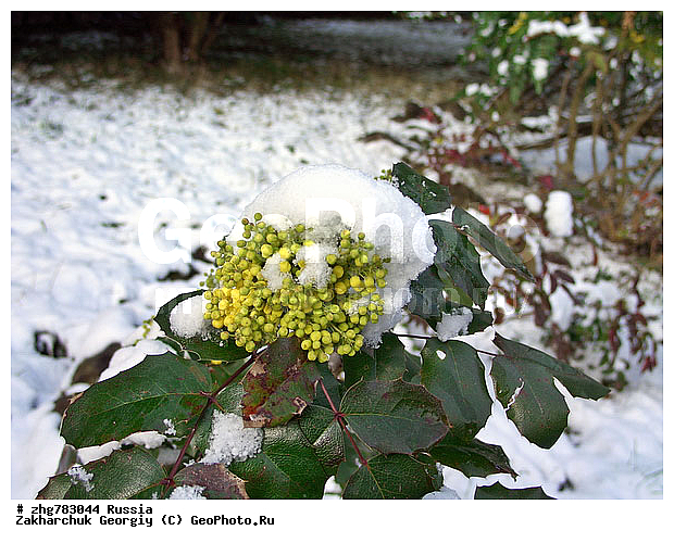 ������, ����, ������������� ����, ������, ������, ����, ��