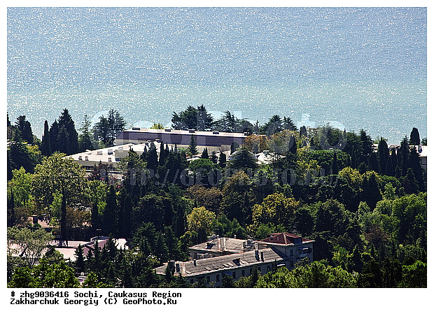 ����, ����, ����, ��������, ������� ������, �������������