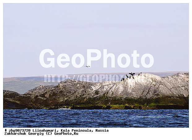 �������, ���������, ��������, ��������, �����������, �������, ����, ����������, �����