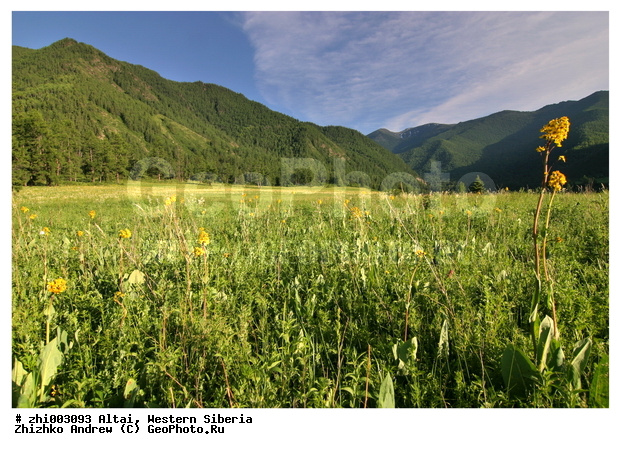 �����, �����, �����, ����, ������ ���� �����, ����, �����, �� �������� ������