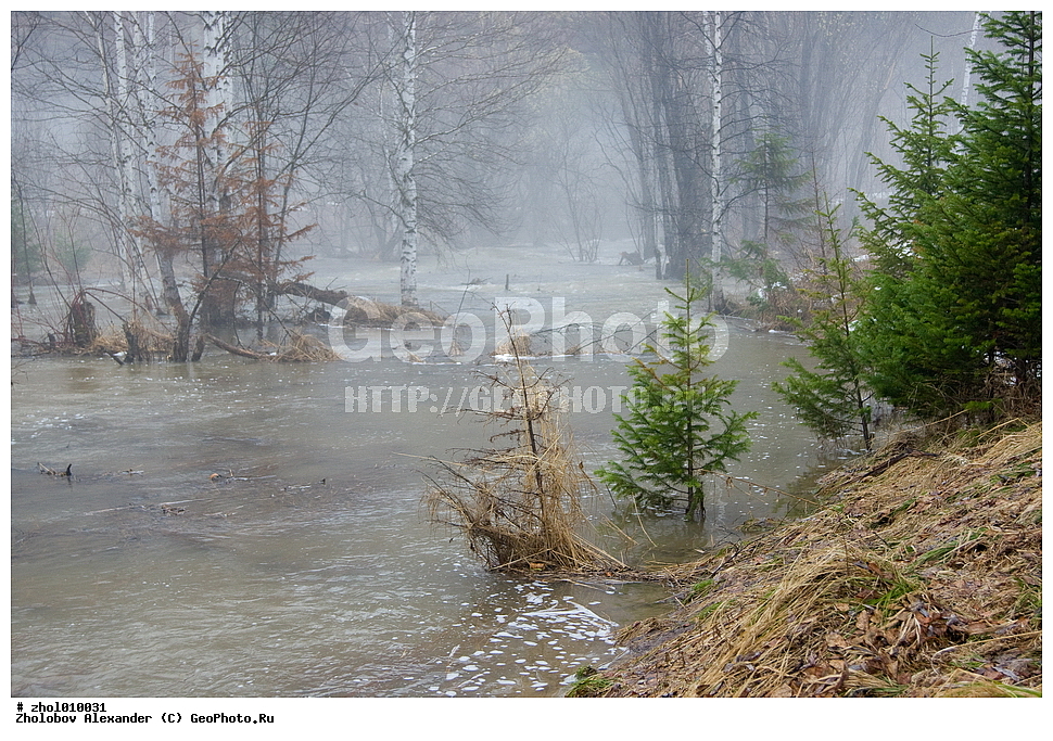 ���������, ���, ����, ������, �������, �����, ��������� ����, ������, �����,  ����� ����, ����� ����, ��������� ����, �����, ������ ���������