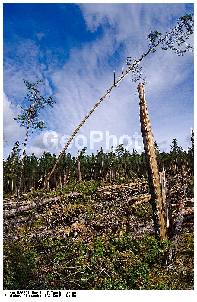 ������, ����, �����, ������� �������, ���, �������, ����������, �������, ��������� ��������, ����������, ����������� �������, �������, ����,���������, ����, ��������, ������, ������, ���������, ��������� �������, �����������, ������, ��������, �������, �����, ������������ 