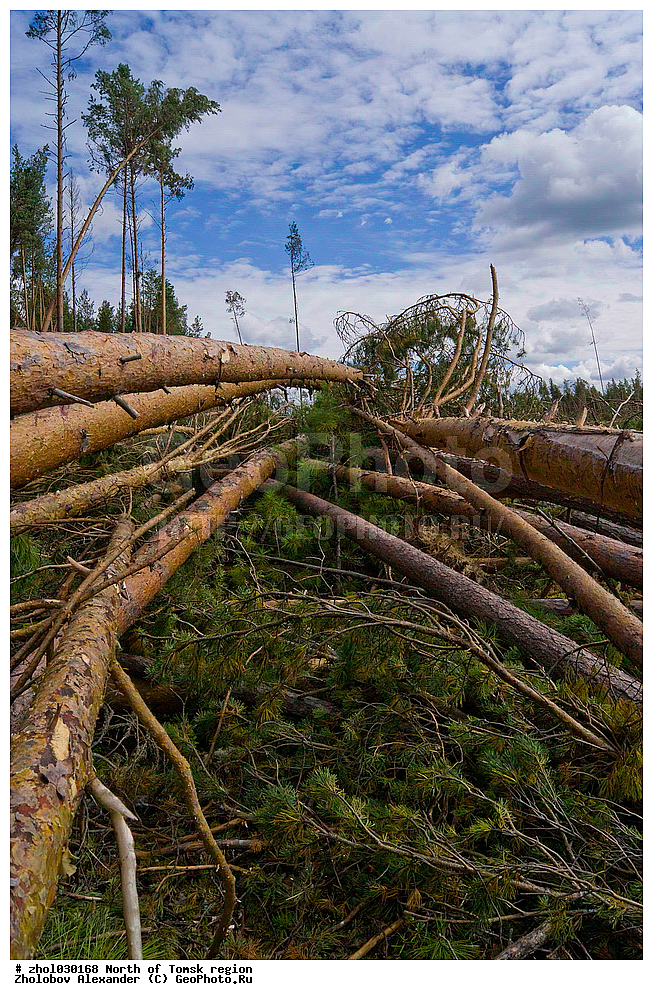 ������, ����, �����, ������� �������, ���, �������, �������, ����������, �������, �������, ��������, ��������, ����, ���������, ����, ��������, ������, ���������, �������, �����, ������������, �������, ����������, ��������, ���������, ��������� �������, �����������, ������   