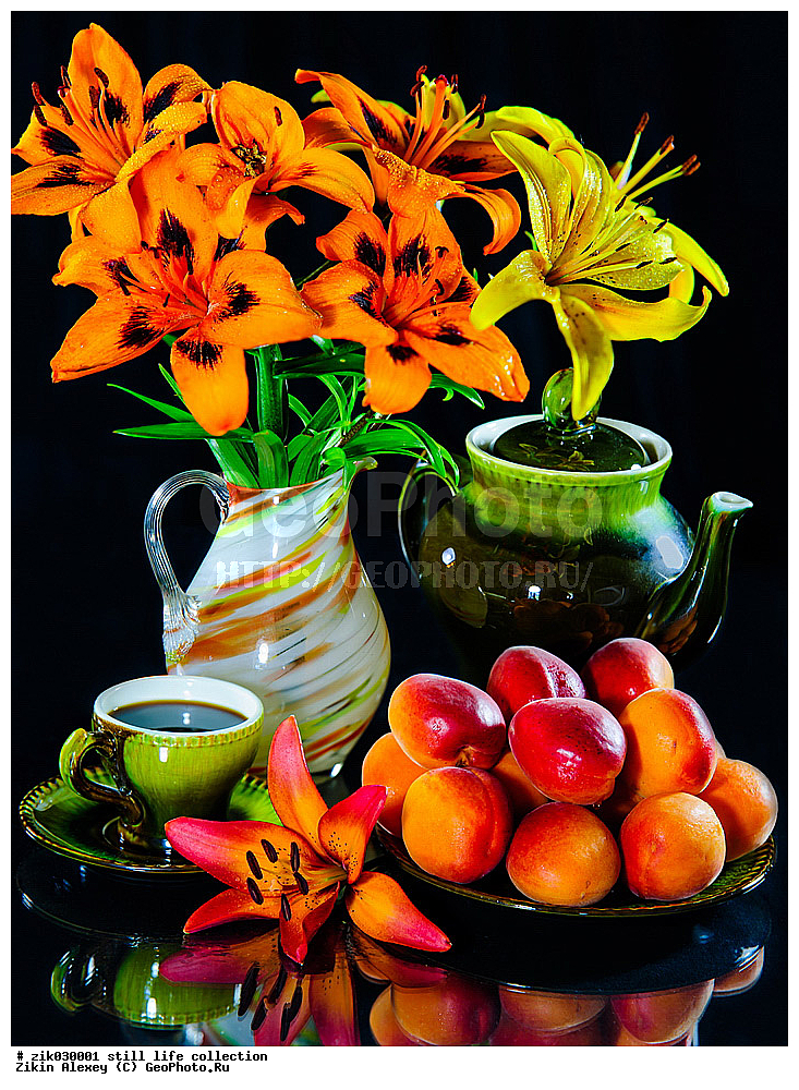 ��������� ���������, �����������, �����, �����, ������, �����, ��������, ����������, ������ ���, ��������� ������