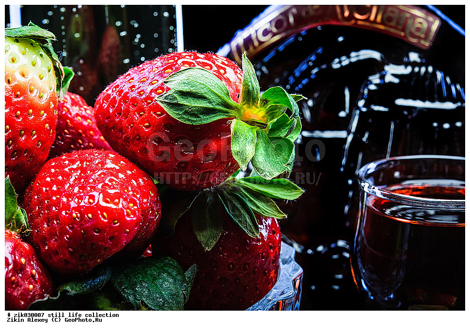 ��������� ���������, �����������, ����, ����, ��������, �����, ������, ����������, ��������� ������,