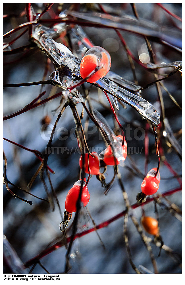 ��������� ��������, �����, ��������, ��, ������� �����, ����, ����,