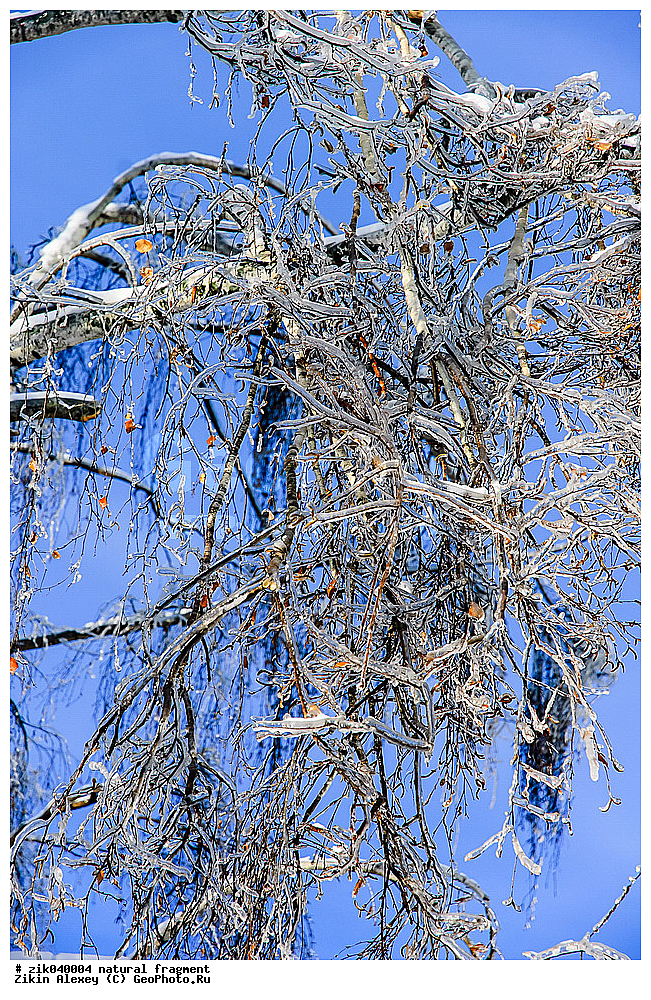 ��������� ��������, ������� �����, �����, ����, �������, ��,