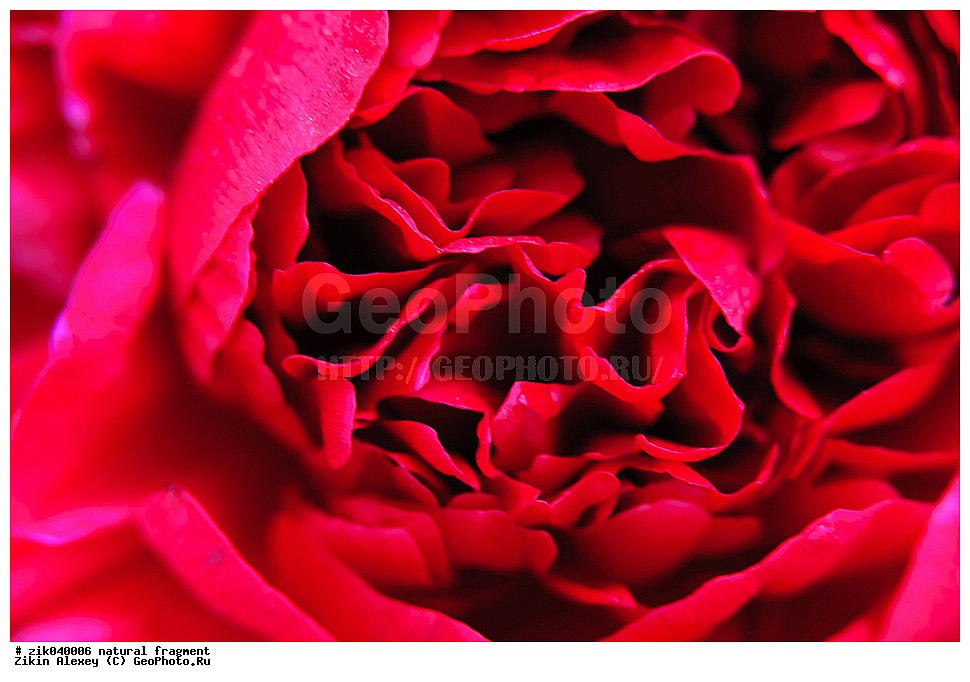 ��������� ��������, ����, �����, ������, ���, �����,