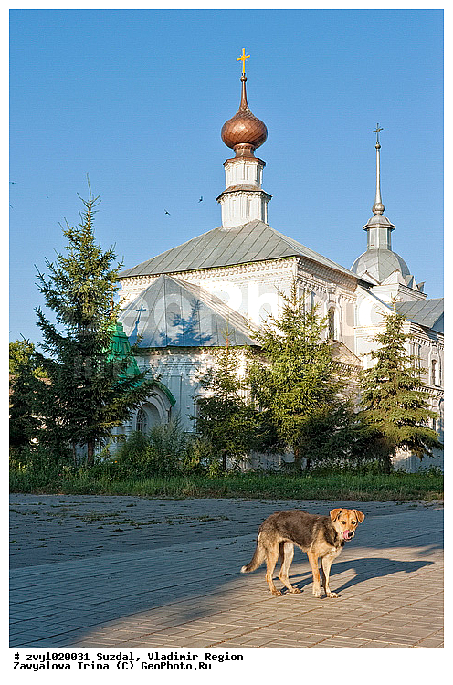 ������������ �������, ������� ����, ������� ������, ������� ������ ������, ������-���������� �������, ���������������� �������, ������, ����, �������, �����������, ������� ����, ����� �������, ������, ����, �����, ������, �����, ����, �������