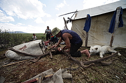 �������� ���������� �� ������� ������, �������� ���� ������