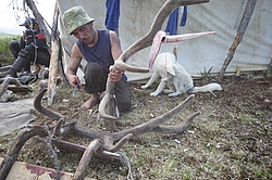 �������� ���������� �� ������� ������, �������� ���� ������