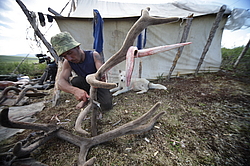 �������� ���������� �� ������� ������, �������� ���� ������