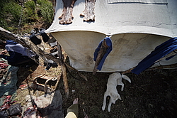 �������� ���������� �� ������� ������, �������� ���� ������