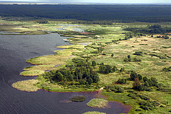 ������������ ����������, ��������������. ������� �������, ��� � ������� ���������� �����